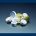 B5100-20, 20mm Silver Aluminum Seal, No Septa - Bulk Packaging, 12500 Per Case